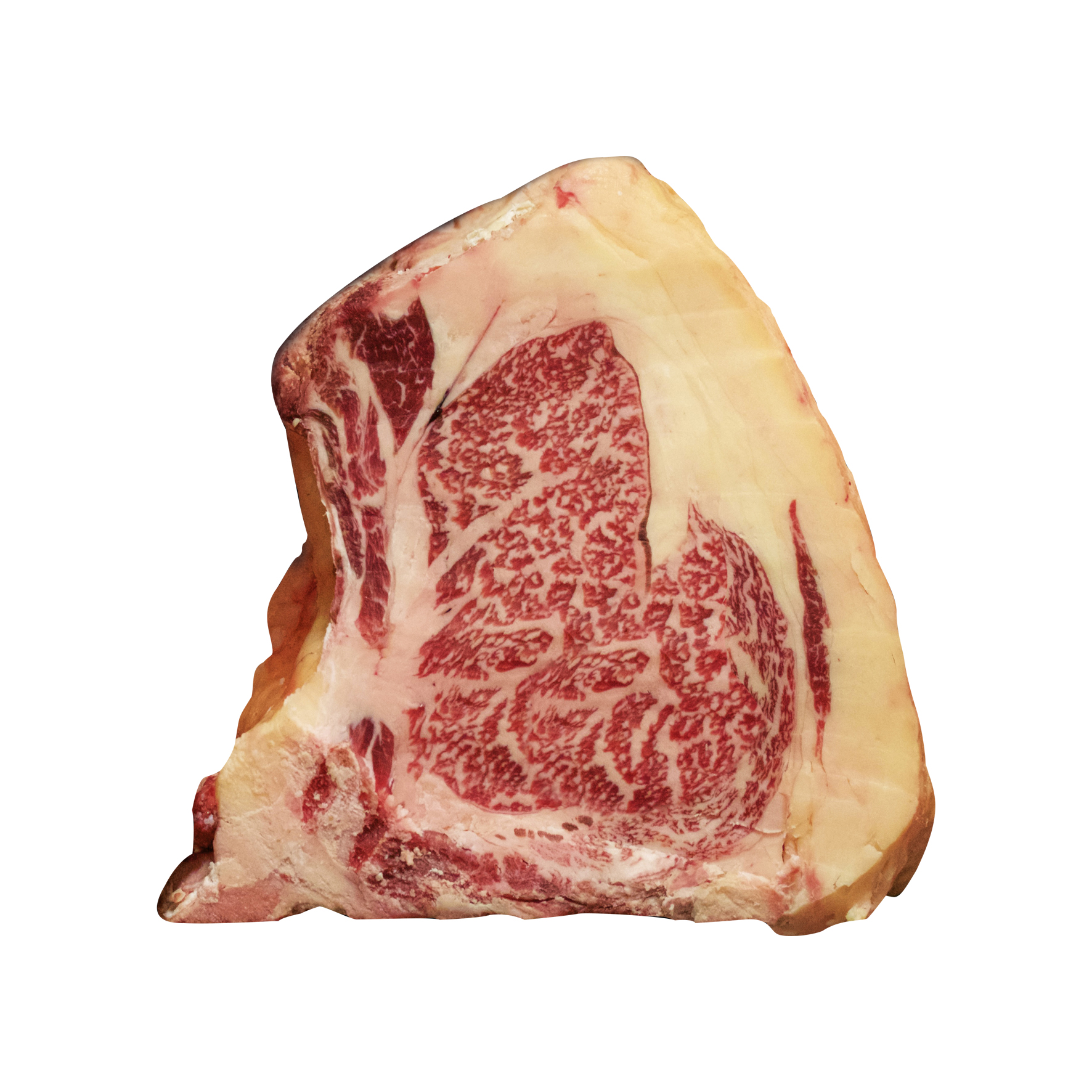 Cámaras de maduración de carne ▷ Mejor Precio Online